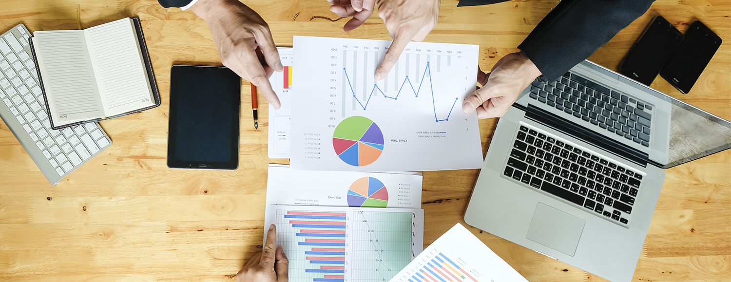 Integradora Profesional